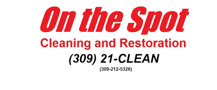 On the Spot Carpet Cleaning Picture 3