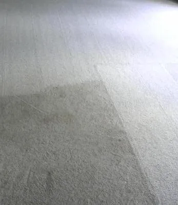 On the Spot Carpet Cleaning Picture 6