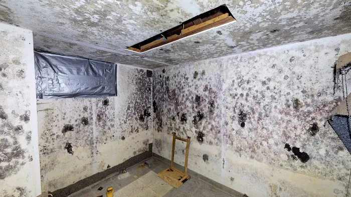 BluSky Restoration of Bloomington/Normal Picture 6