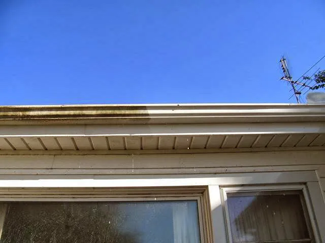 Power Wash Services, Inc. Picture 9