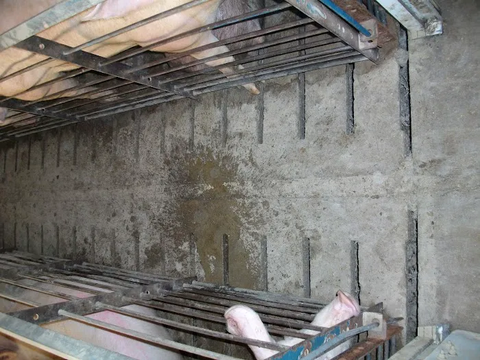 Power Wash Services, Inc. Picture 3