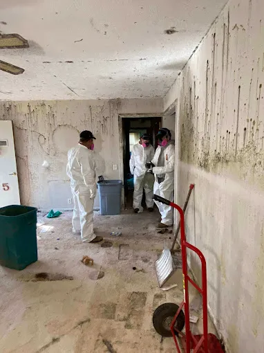 Healthy Homes LLC Picture 4