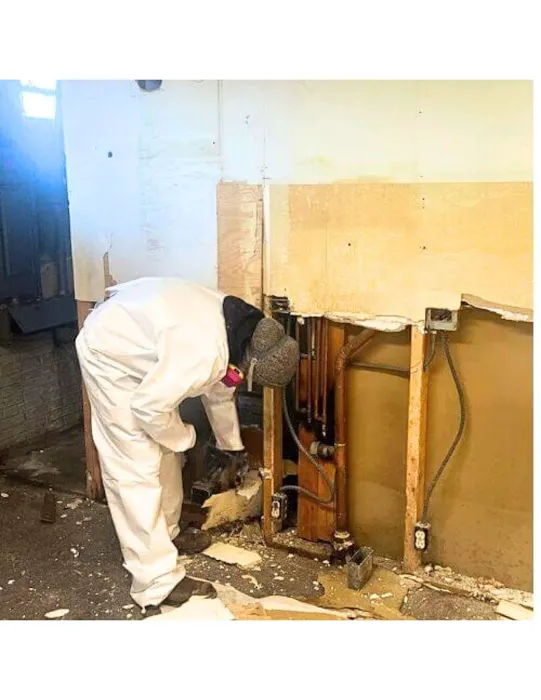 Healthy Homes LLC Picture 5