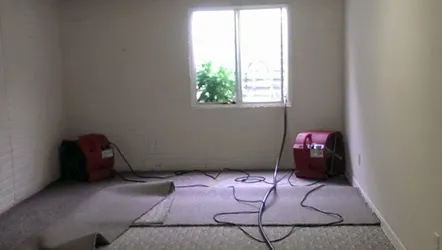 True Clean Restoration Picture 1