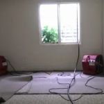 True Clean Restoration