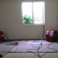 True Clean Restoration ico