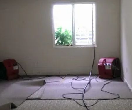 True Clean Restoration