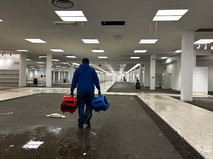 BluSky Restoration of Morton/Peoria Picture 1