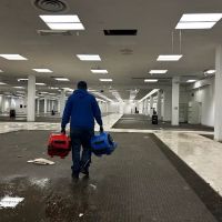 BluSky Restoration of Morton/Peoria ico