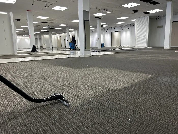 BluSky Restoration of Morton/Peoria Picture 2