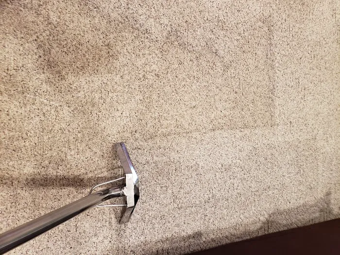 Poseidon Cleaning Picture 6