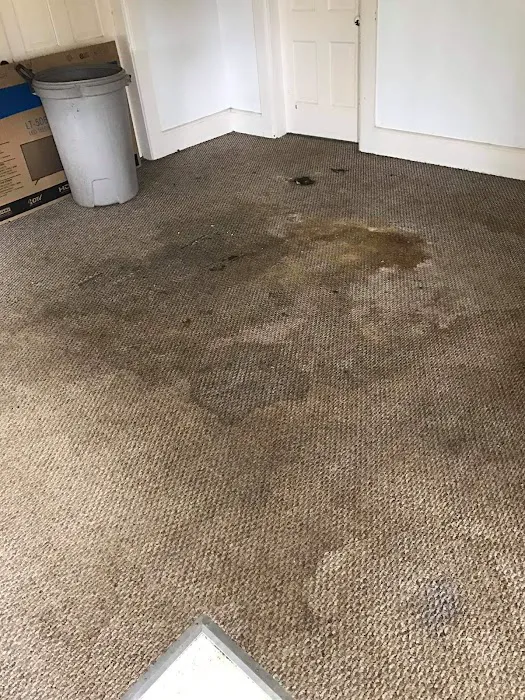 Poseidon Cleaning Picture 5