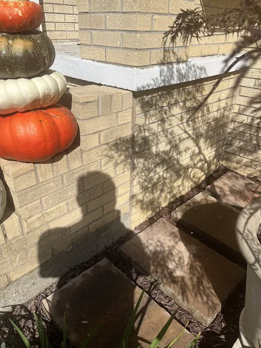 Frontier Foundation & Crawl Space Repair Picture 9