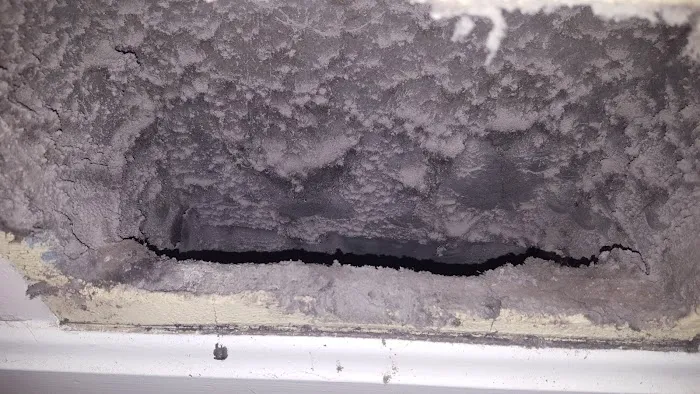 Sure Clean Carpet Cleaning & Restoration Picture 5