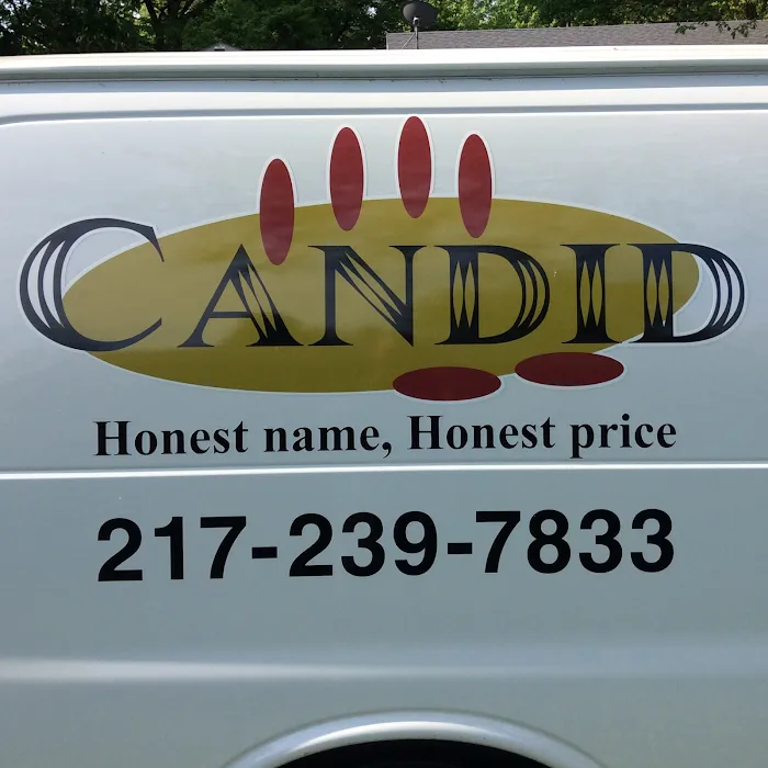 Candid Professional Services LLC. Picture 2