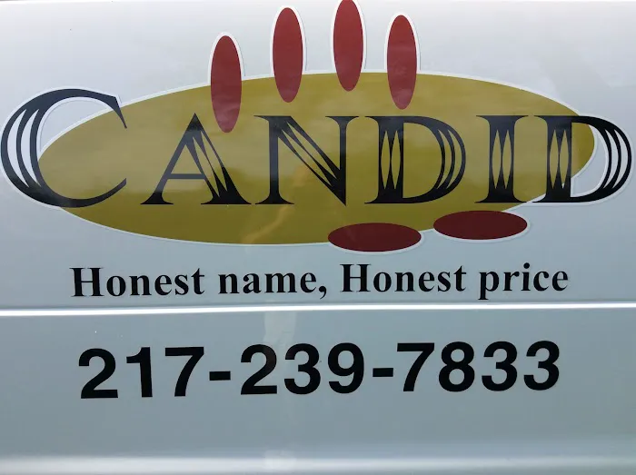 Candid Professional Services LLC. Picture 1