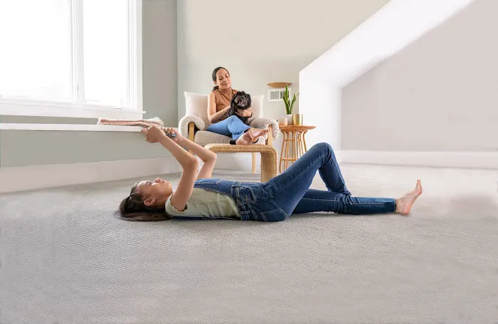 Chem-Dry of Central Illinois Picture 5