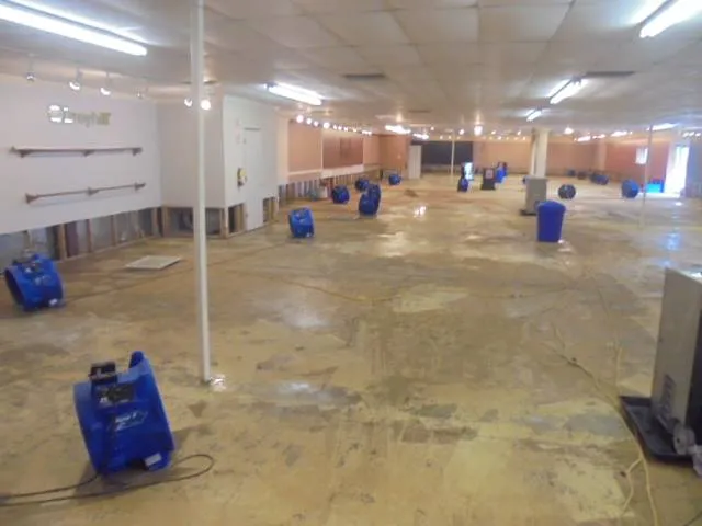 Tri County Cleaning Systems, Inc Picture 9