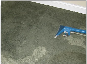 B & N Carpet Care, INC Picture 2