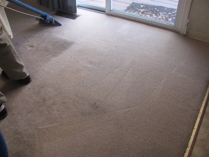 B & N Carpet Care, INC Picture 3