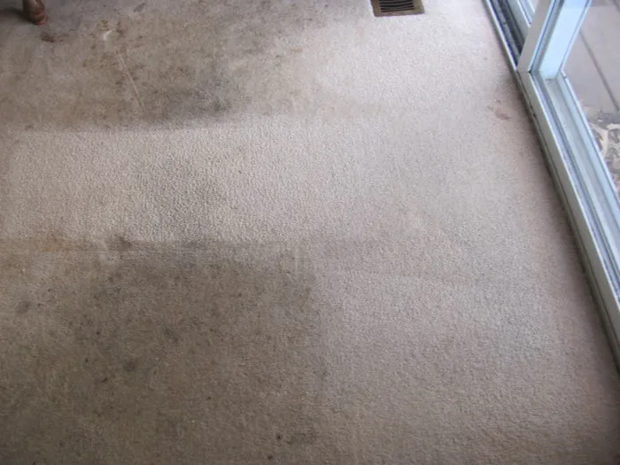 B & N Carpet Care, INC Picture 1