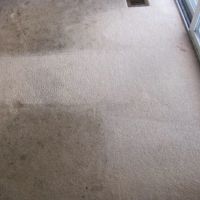B & N Carpet Care, INC ico