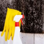 Lane Mold Remediation Peoria