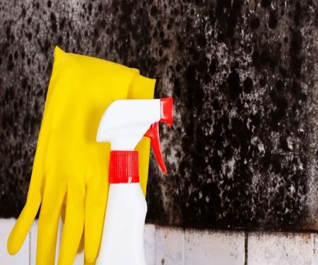 Lane Mold Remediation Peoria