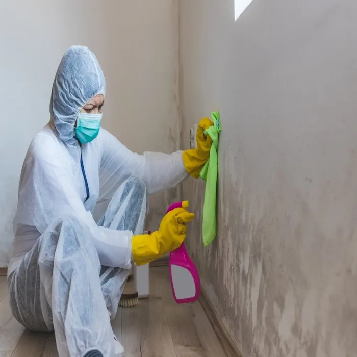 Lane Mold Remediation Peoria Picture 8