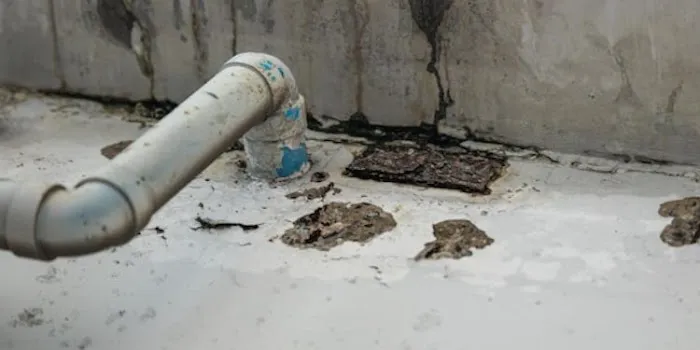 Maillarde Water Damage Picture 7