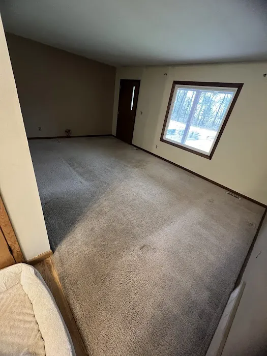 Steam Green Carpet Cleaning and Restoration Picture 3