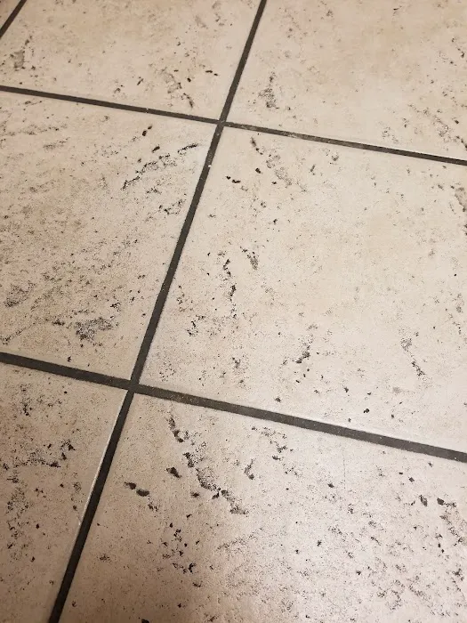 Steam Green Carpet Cleaning and Restoration Picture 7