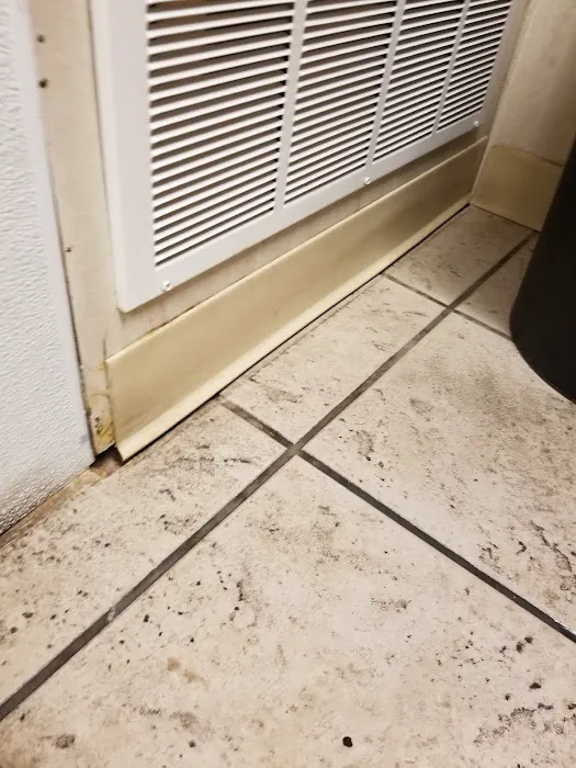 Steam Green Carpet Cleaning and Restoration Picture 10