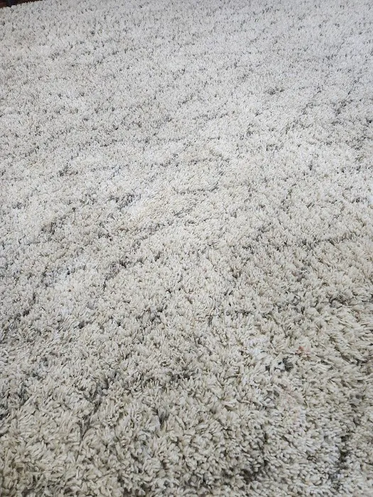 Stanley Steemer Picture 8