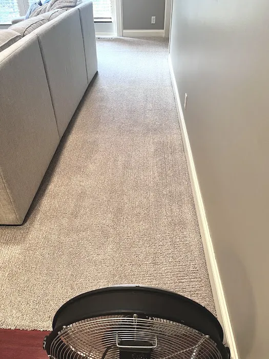 Hoerr Carpet Cleaning and Water Restoration Inc. Picture 1