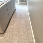 Hoerr Carpet Cleaning and Water Restoration Inc.