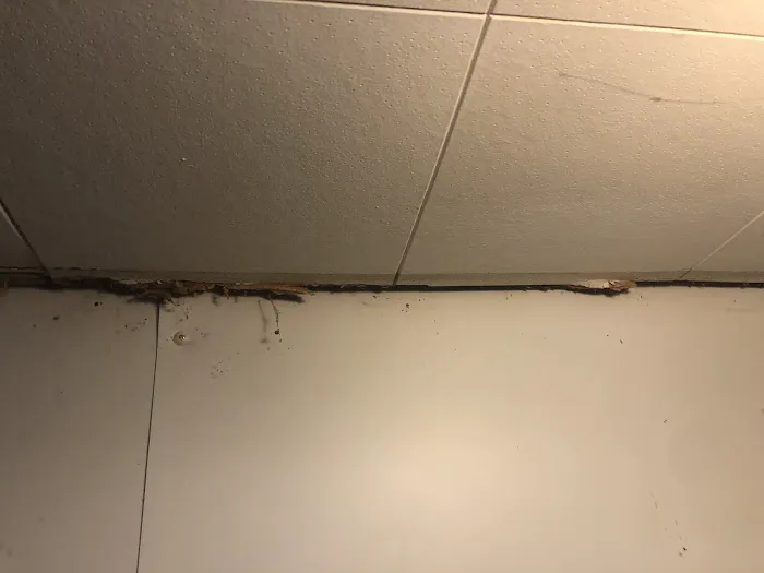 Master Waterproofing Picture 6