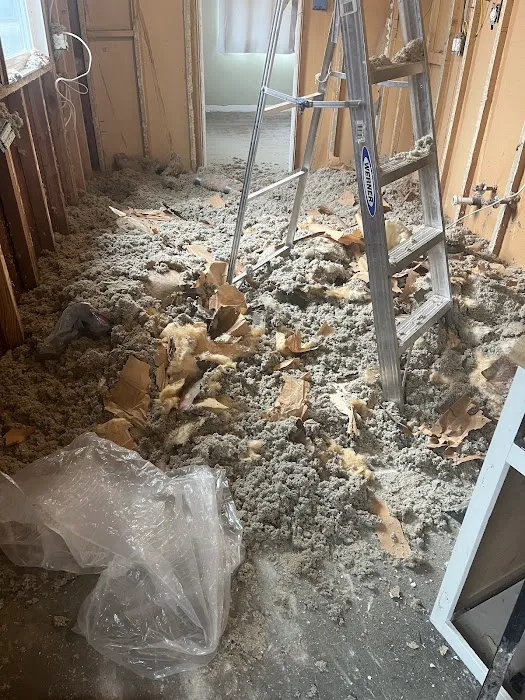 Eagle Eyes Picture 1