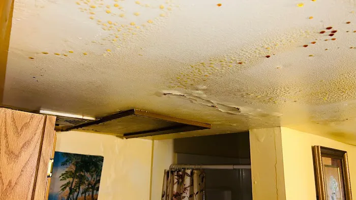 Knott’s Property Restoration Picture 8