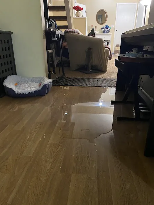 Vital Restoration Picture 4