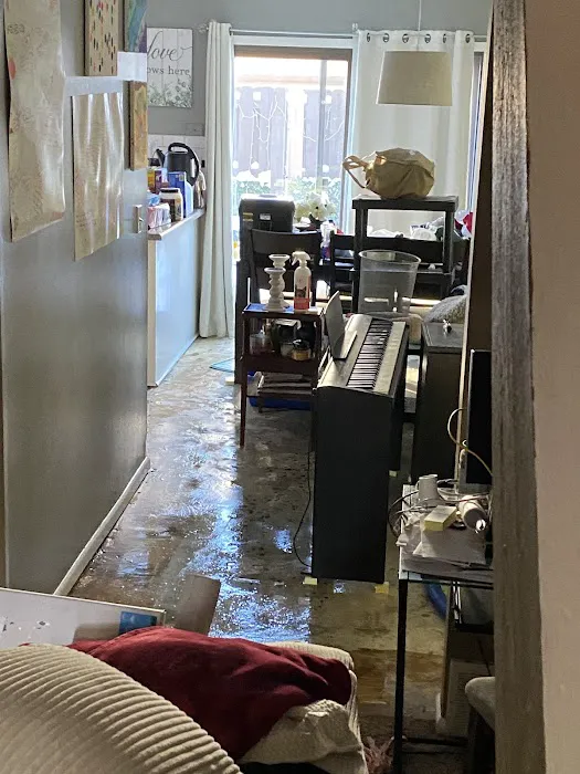 Vital Restoration Picture 1