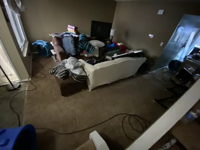 Vital Restoration Picture 5