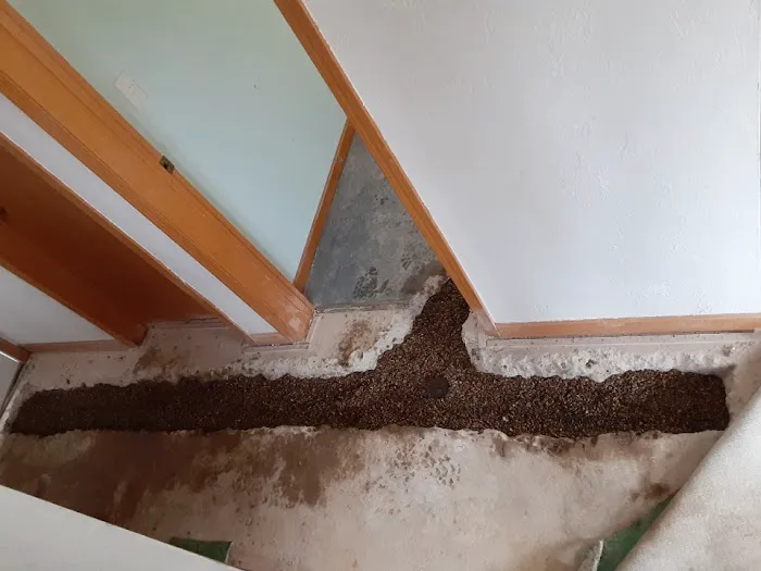 Force Basement Solutions Picture 3