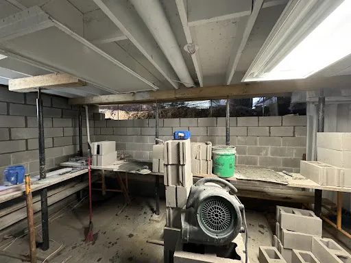 Force Basement Solutions Picture 1