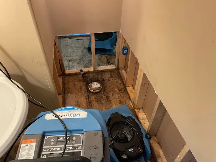 DRYmedic Services Picture 3