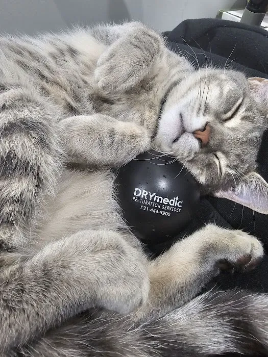 DRYmedic Services Picture 10