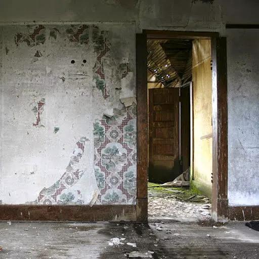 Rainbow International of Ken-Tenn Picture 2