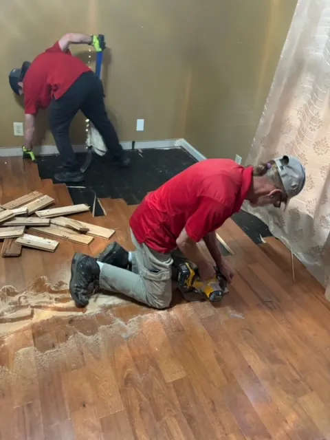 Thomas' Carpet Cleaning and Restoration Service, LLC Picture 9