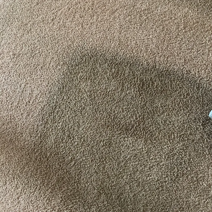 Chem-Dry Of Macon County Picture 8