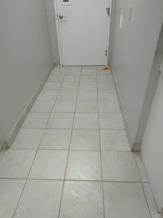 Chem-Dry Of Macon County Picture 2